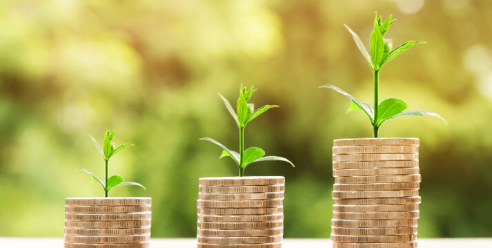 Budżet a wymiary hali stalowej